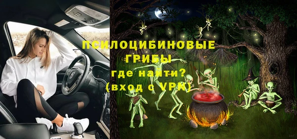 Альфа ПВП Белокуриха